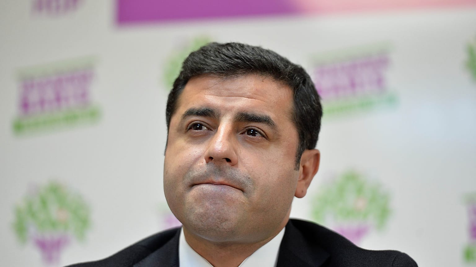 Selahattin Demirtaş - Güçlendirilmiş Parlamenter Sistem önerileri