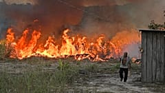 En imágenes: vuelve a arder la Amazonía brasileña, con más virulencia que el año pasado