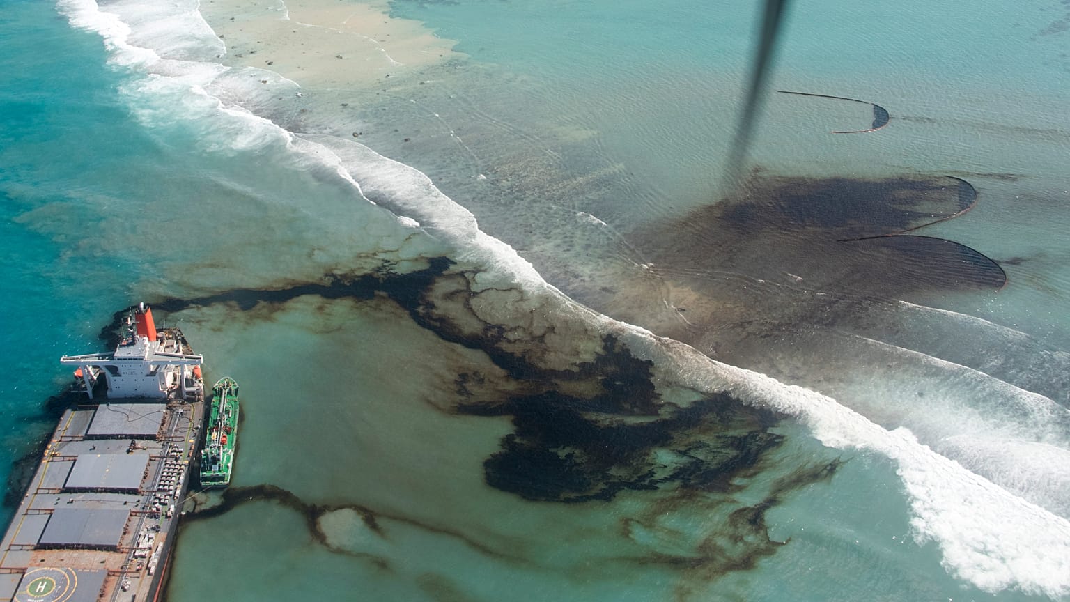 Ölpest: Frachter vor Mauritius soll versenkt werden