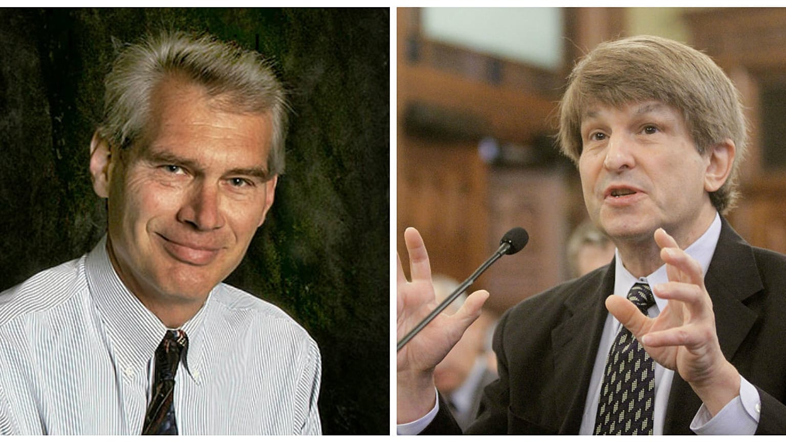 Helmut Norpoth/Allan Lichtman