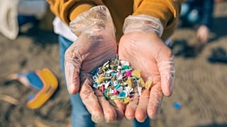 Microplastics