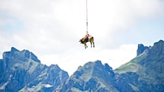 Fligende Kuh am Klausenpass