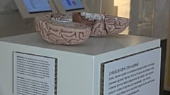 Museu da Felicidade abriu em Copenhaga