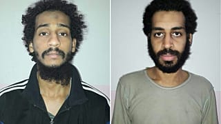 عضوي خلية البيتلز