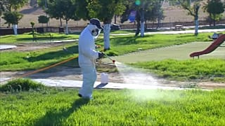 Fumigación de parques y espacios públicos en Andalucía
