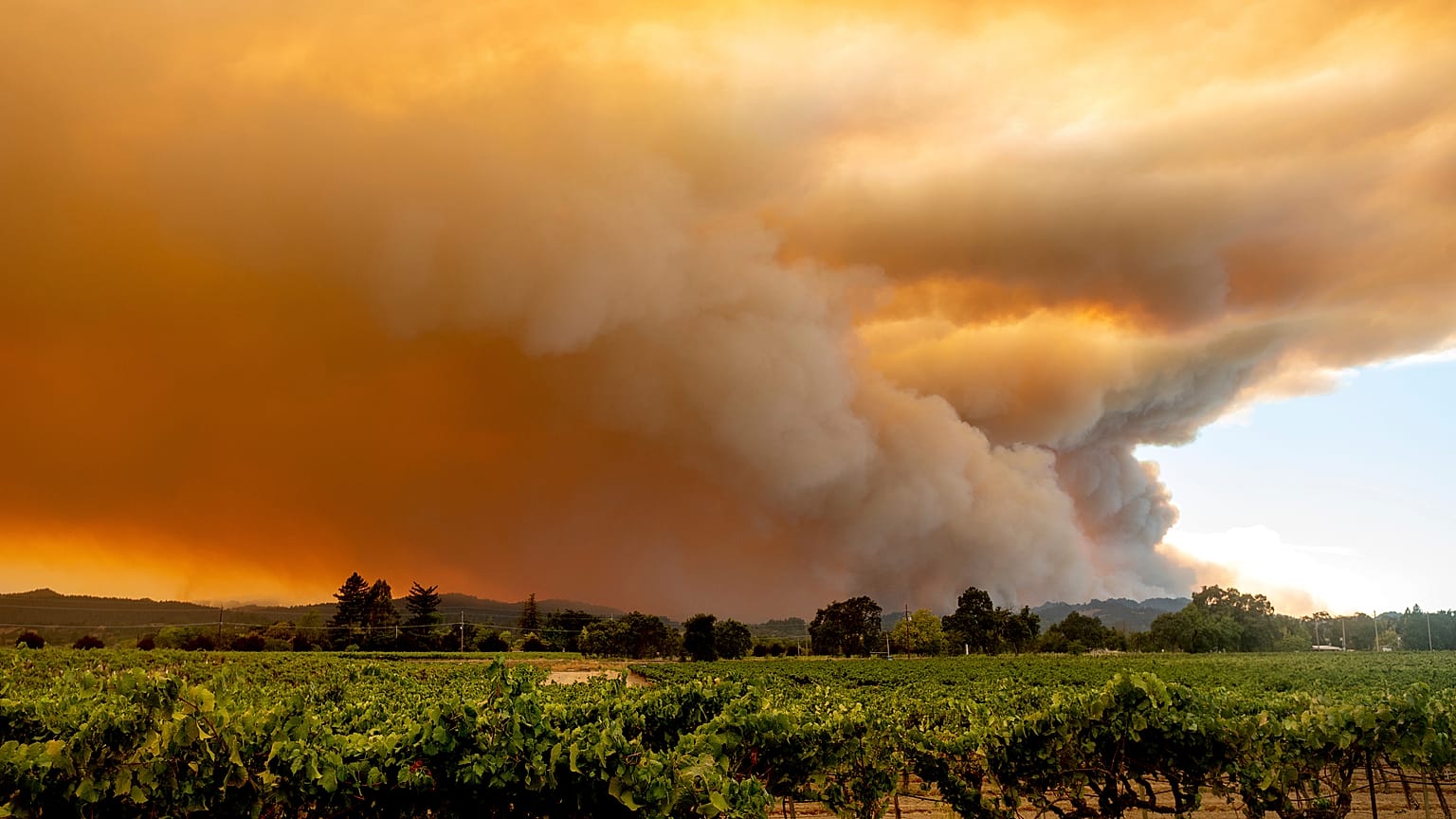 Waldfeuer in Kalifornien brennen weiter 