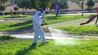 Insektenbekämpfung zur Eindämmung des West-Nil-Viurs