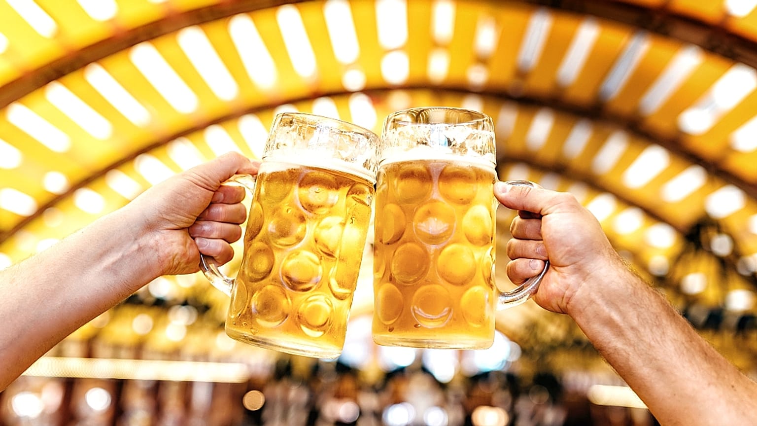 Bira festivali