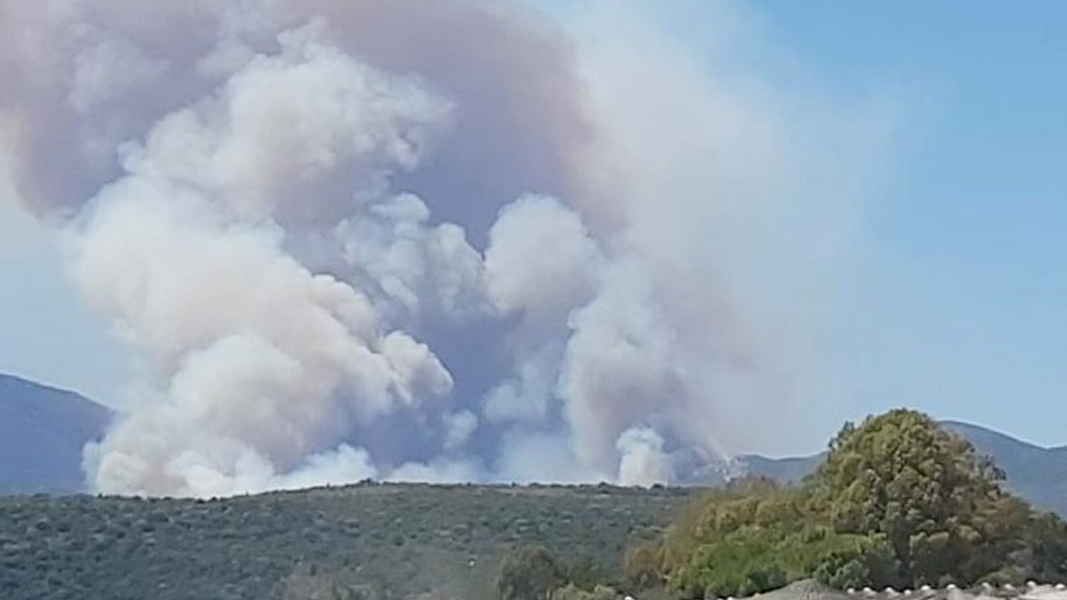 ΠΑΝΑΓΙΩΤΗΣ ΚΟΥΡΟΣ/ 2020 ΑΘΗΝΑΪΚΟ ΠΡΑΚΤΟΡΕΙΟ ΕΙΔΗΣΕΩΝ - ΜΑΚΕΔΟΝΙΚΟ ΠΡΑΚΤΟΡΕΙΟ ΕΙΔΗΣΕΩΝ