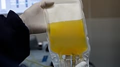 WHO plasma therapy