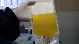 WHO plasma therapy