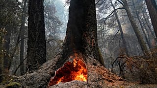ادامه آتش‌سوزی در کالیفرنیا و انتظار موج تازه گرما