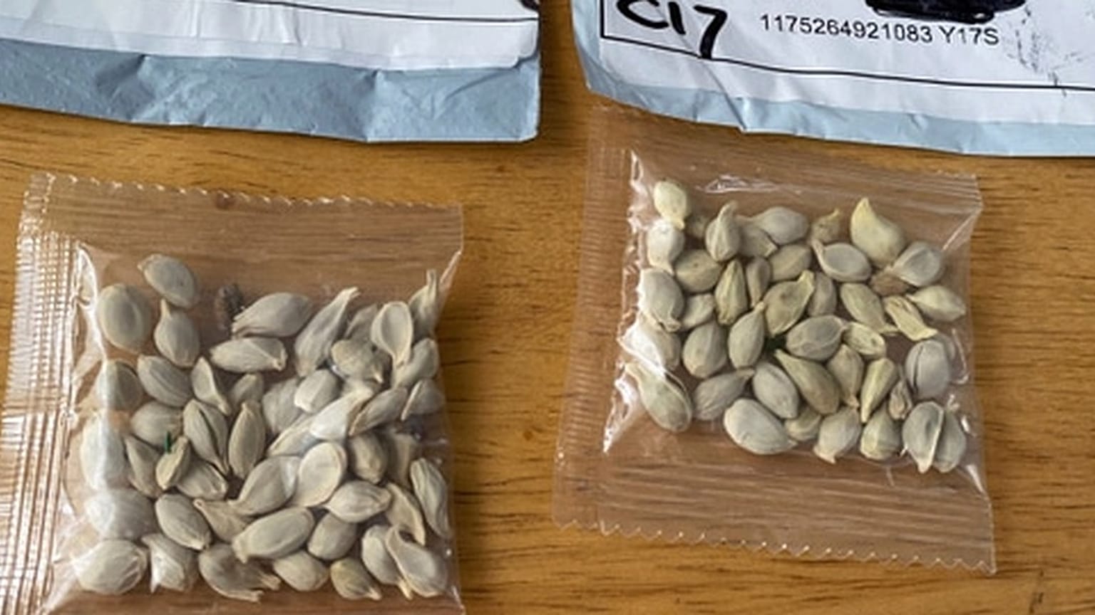 Çin'den gönderilen tohumlar 