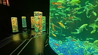 Tóquio, Japão
