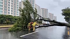 O τυφώνας Μπάβι πλήττει την Χερσόνησο της Κορέας