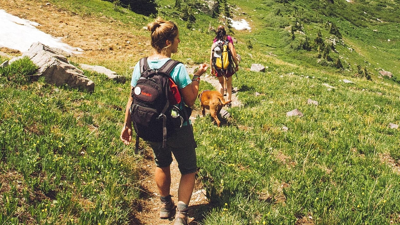 Young people are less likely to spot environmental changes.