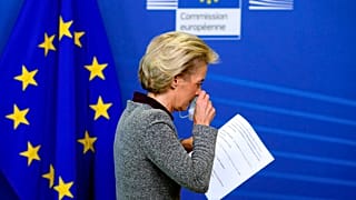 von der leyen 