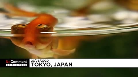 Tokio Art Aquarium 