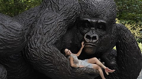 Gar nicht bedrohlich: Riesen-Gorilla in Manhattan