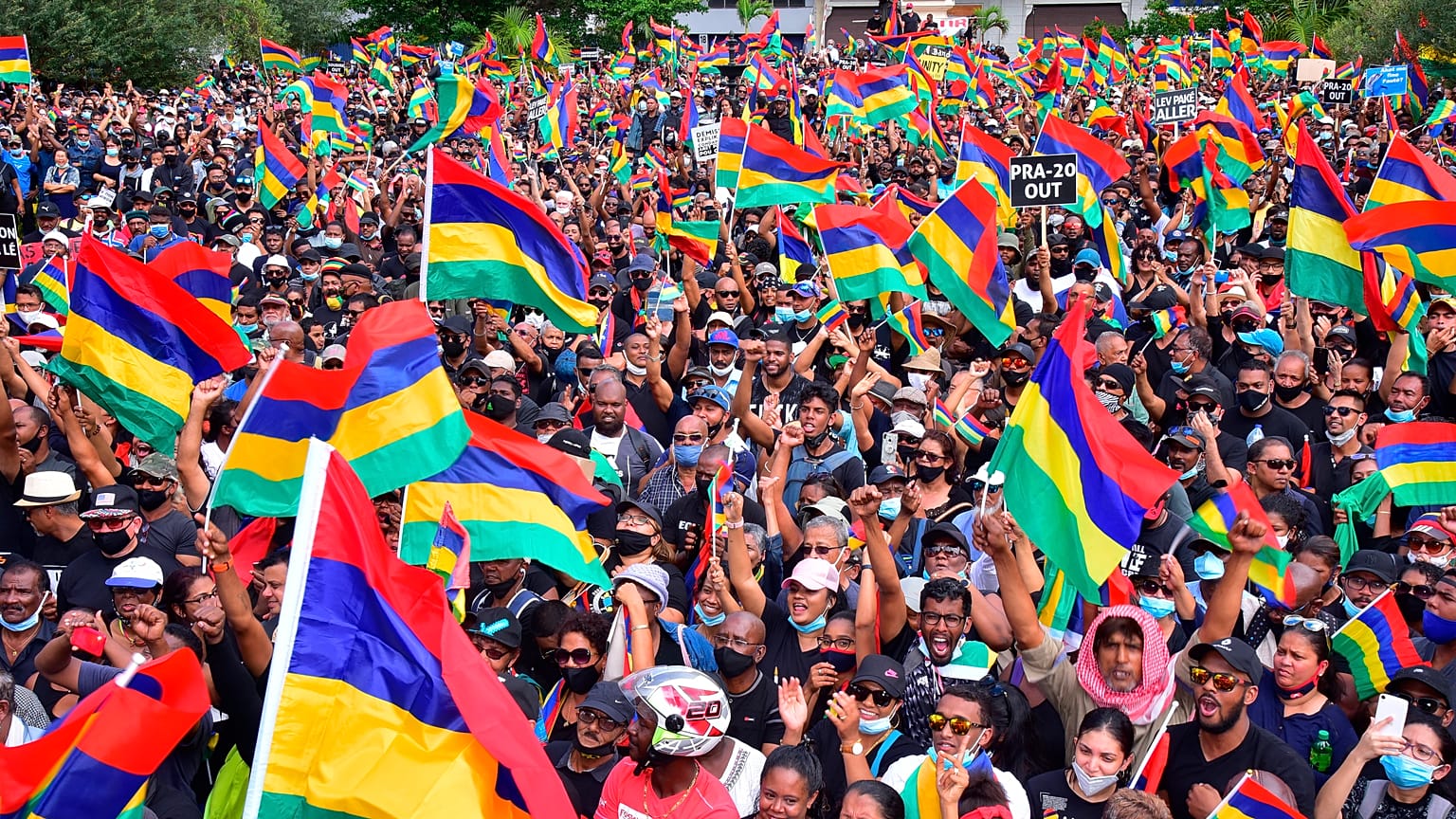 Tote Delfine im Urlaubsparadies: Demonstrationen in Mauritius