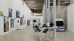 Vue de l'exposition "Jusqu'ici tout va bien" au Palais de Tokyo, Paris