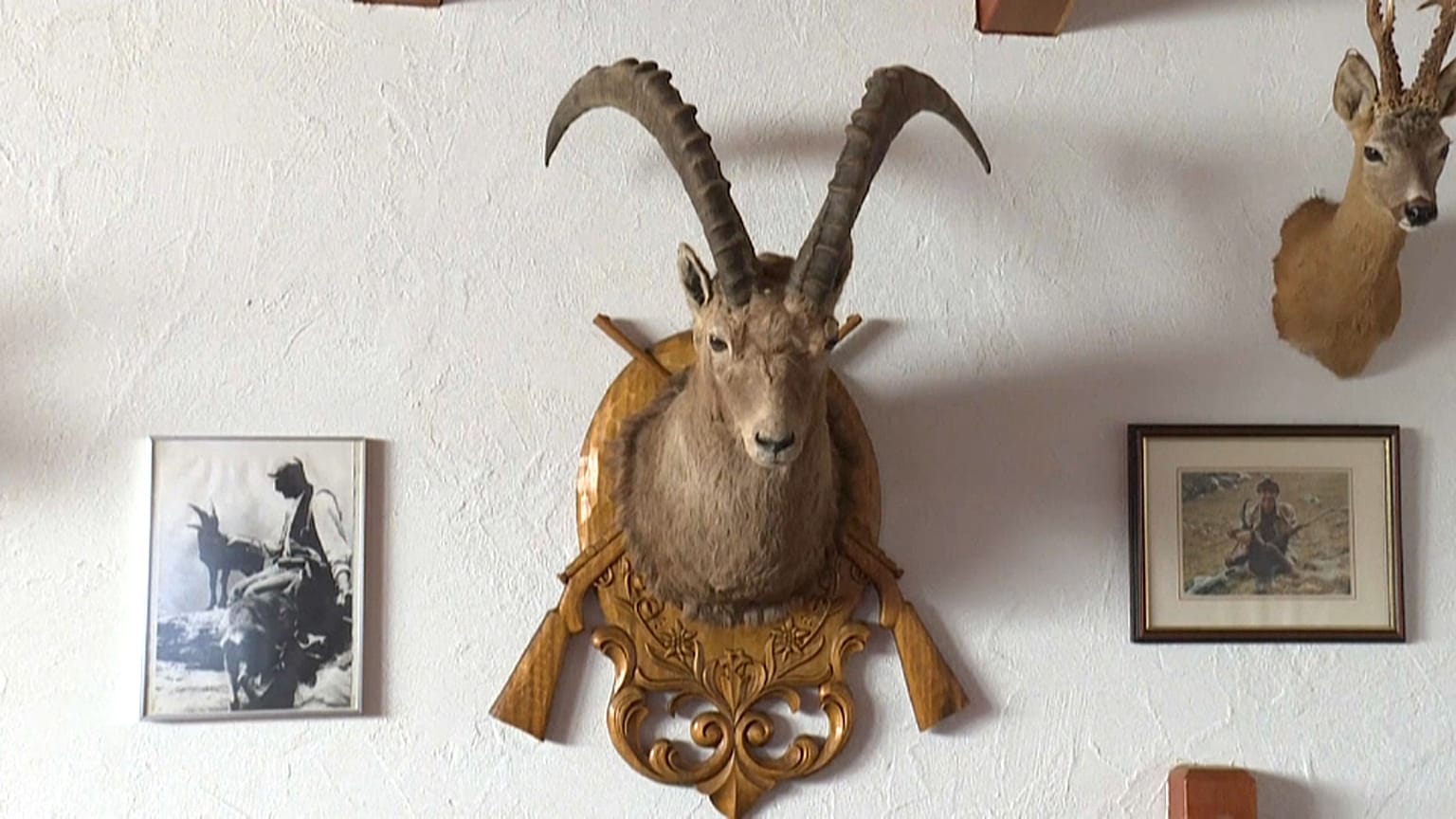 Jagdtrophäe