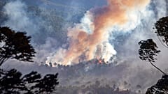 Schwere Unwetter in Europa - 2 Mädchen in Toskana von Baum erschlagen 