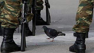 Εικόνα Αρχείου
