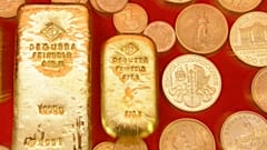 Covid-19 - das “Gold-Fieber”