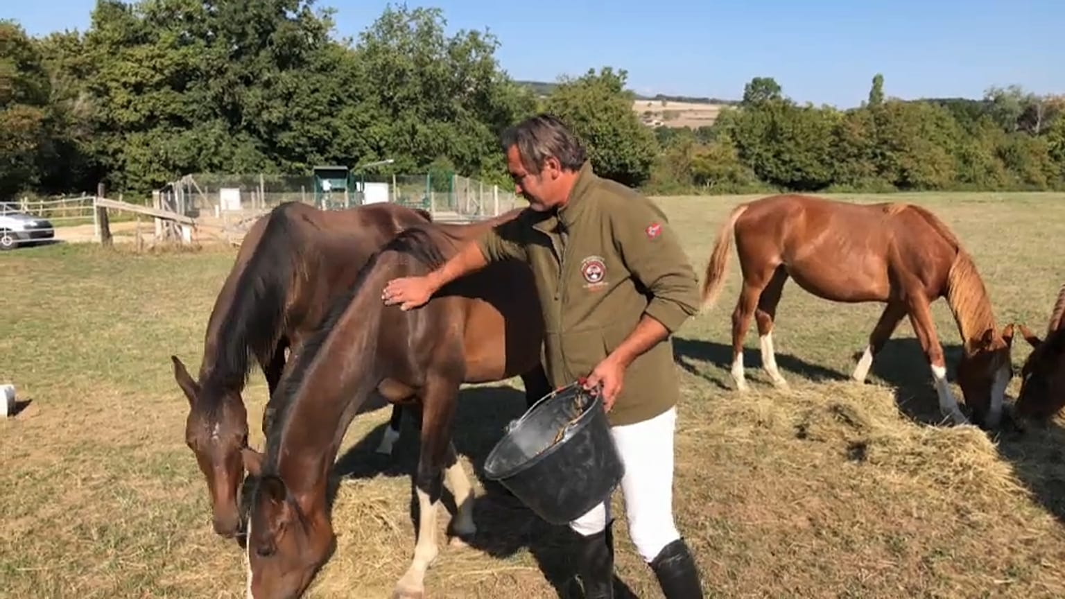 Jean Michel Martinot con i suoi puledri.