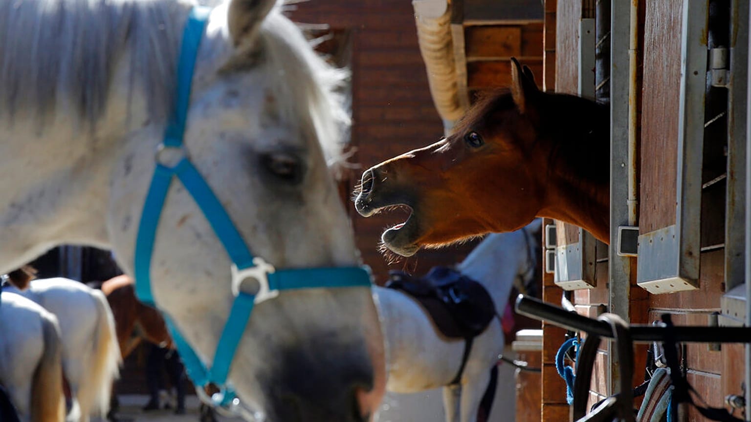 AP Photo/Michel Euler