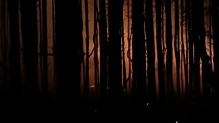 Пожары в Ростовской области