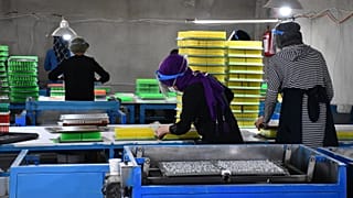 Türkiye'de işten çıkarma yasağı iki ay daha uzatıldı