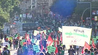 Manifestación de la 'Marea verde' en Madrid