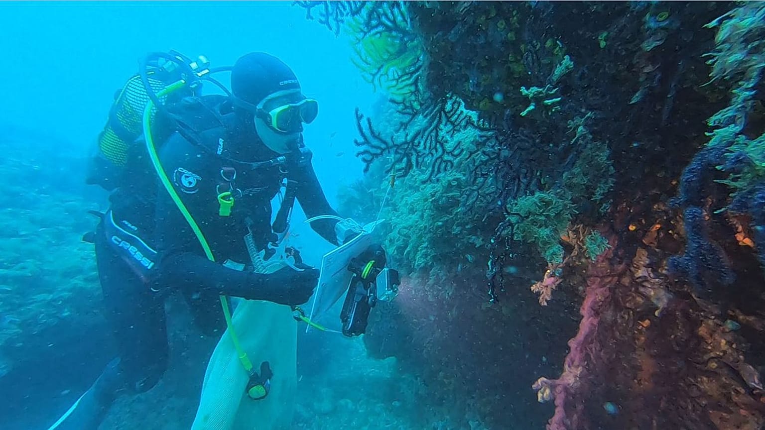 Marine Hitzewellen: Auswirkungen des Klimawandels auf Ozeane
