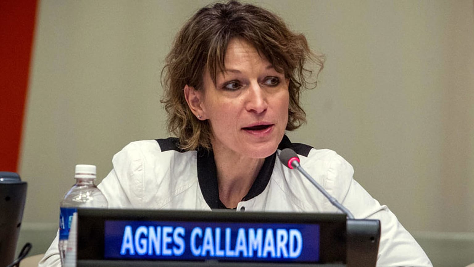 Agnes Calamard