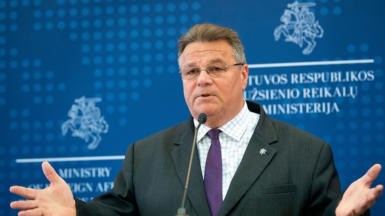Litvanya Dışişleri Bakanı Linas Linkevicius