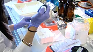 Covid-19 : un vaccin testé en Espagne