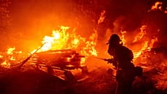 Waldbrände in Kalifornien - früher und verheerender als sonst 