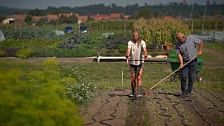 La UE busca restaurar el 70% de las tierras agrícolas para 2030