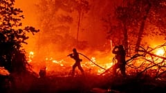 Feuerwehrmänner bei der Brandbekämpfung