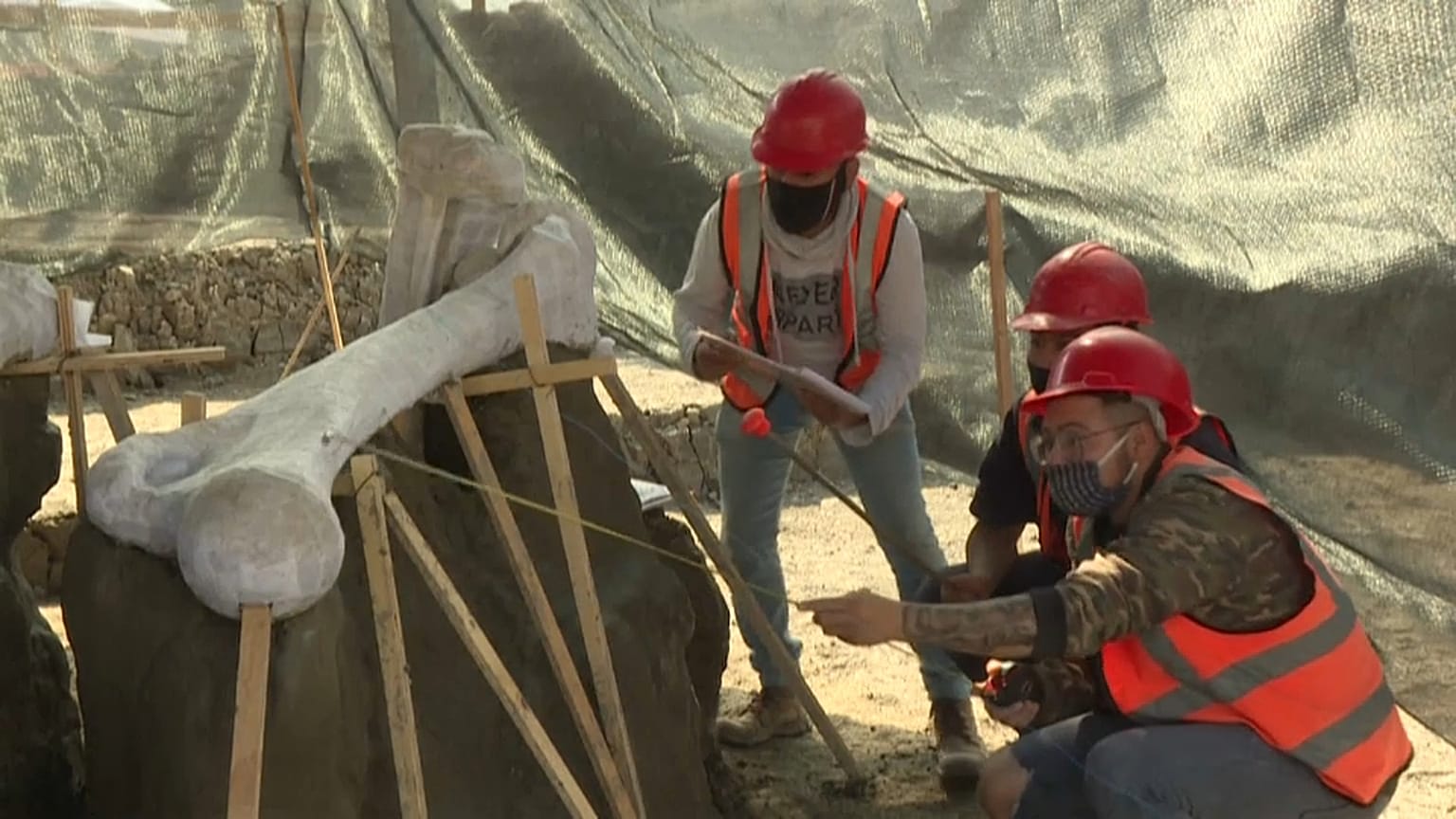 Mexique : sous un aéroport en cours de construction, des mammouths