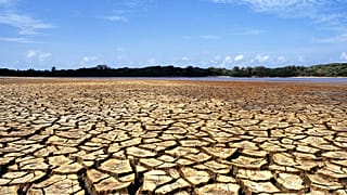 Landscape of a dry, cracked soil with water and vegetation in the background in Ilha do Caju, state of Maranhão, Brazil.
