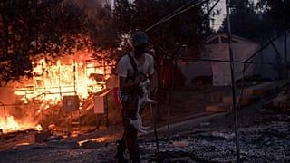 Пожары в Мории
