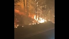 Des automobilistes traversent un feu de forêt dans l'Oregon