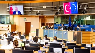Τηλεδιάσκεψη με τον Μεβλούτ Τσαβούσογλου της Επιτροπής Εξ.Υποθέσεων της ΕΕ