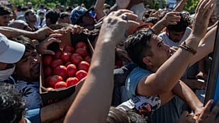 Migrants argue for a crate of tomatoes during a food distribution on the northeastern island of Lesbos, Greece, Thursday, Sept. 10, 2020.