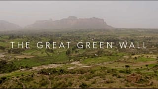 The Great Green Wall: a journey to the front line of the climate crisis.
