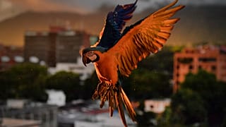 Euronews Living rounds up the best environmental images of the week from around the world.