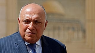 Mısır Dışişleri Bakanı Şukri